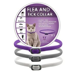 Collier Anti-puces pour Chats