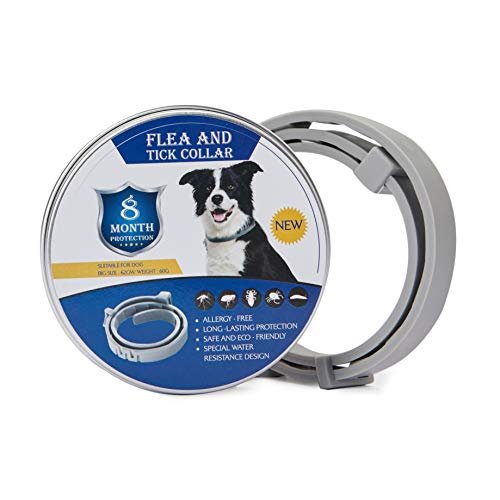 Collier Antipuces et Anti Tiques Chiens et Chats