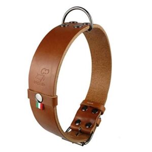Collier Chien  avec poignée Labrador Golden Retriver Berger Allemand Bulldog Amstaff Pitbull