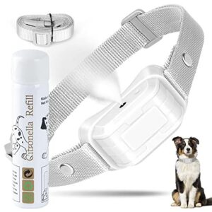 Collier d'écorce de citronnelle Automatique Chien Moyen et Grand