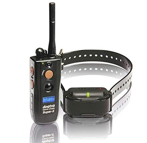 Collier de dressage pour chien de chasse Dogtra 3500 NCP