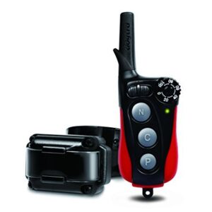 Collier de Dressage pour Chien Dogtra Iq Plus