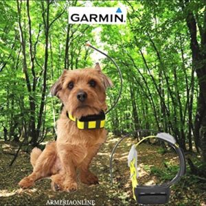 Collier de localisation GPS pour chien chasse Garmin Athémos K5
