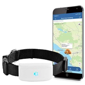 Collier GPS pour Chat Chien  IP66 WiFi+GPS+LBS