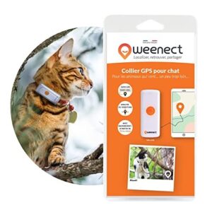 Collier GPS pour chat Weenect Cats
