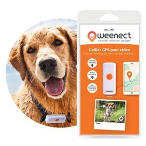 Collier GPS pour Chien Weenect Dogs