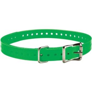 Collier Polyuréthane Boucle Pour Chien Vert
