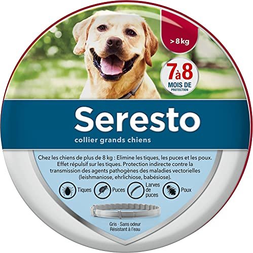 Collier pour Chien Anti Puces Anti Tiques pour Grands Chiens Plus de 8 Kg