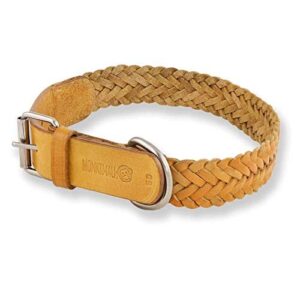 Collier pour Chien Large Tressé Monkimau