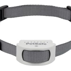 Collier-récepteur Rechargeable pour clôture Anti-Fugue avec Fil pour Chiens et Chats PetSafe