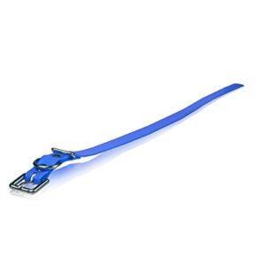 Collier Sangle Polyuréthane Pour Chien Dogtra Bleu