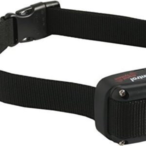 Collier supplémentaire pour les collier de chiens de chasse DOGtrace