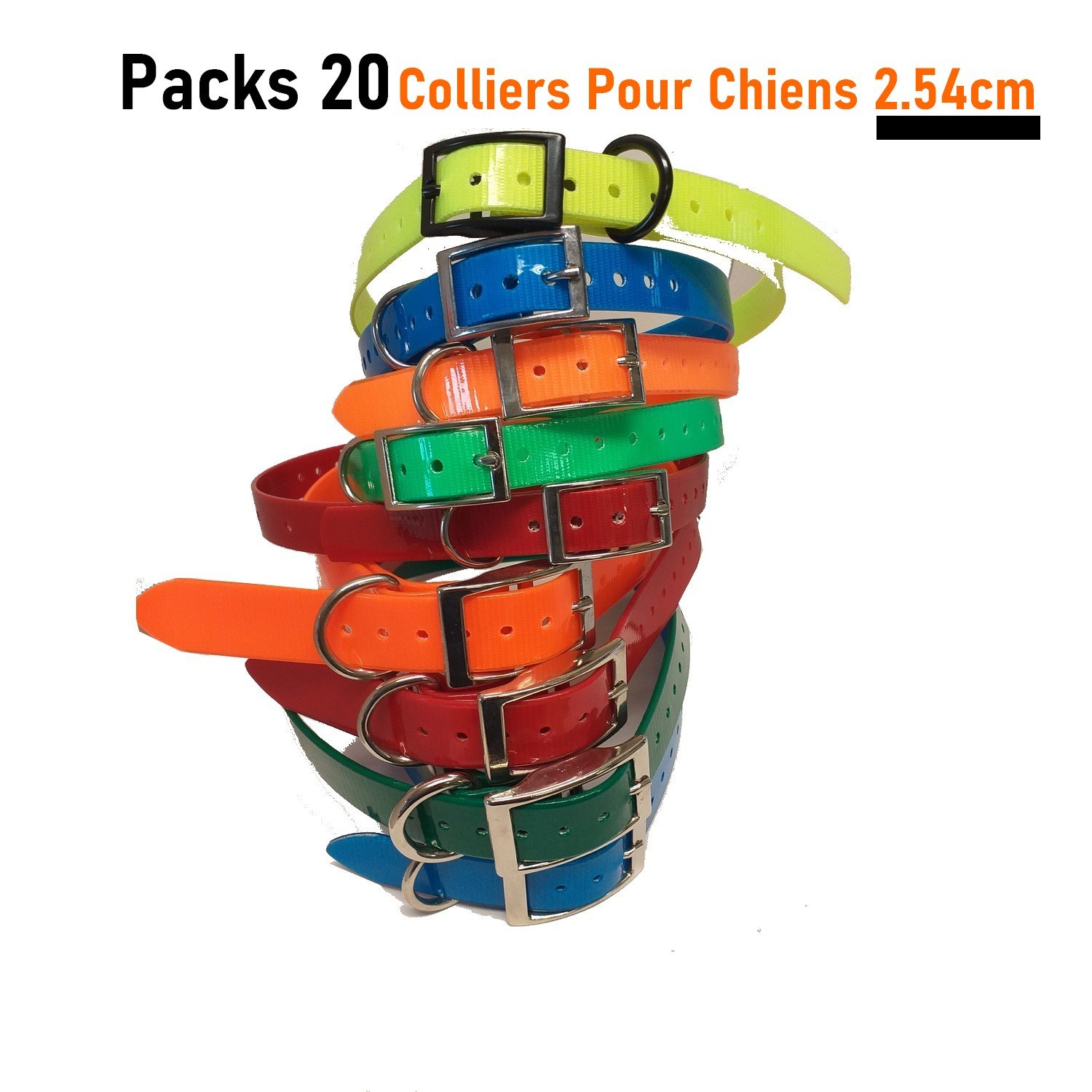 Colliers Sangle Pour Chien 2.54cm Pack 20