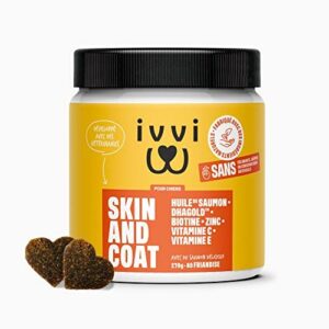 Complément Alimentaire pour Chien