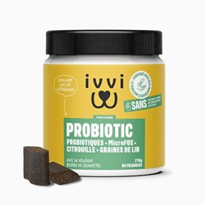 Complément Alimentaire pour Chien ivvi - Probiotic