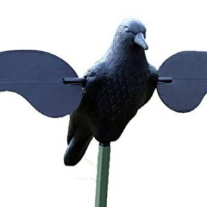Corbeau Leurre Mojo