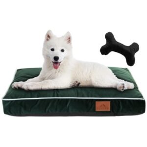 Coussin Chien Grande Taille