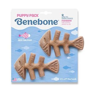 Fishbone Puppy 2-Pack Mini Benebone