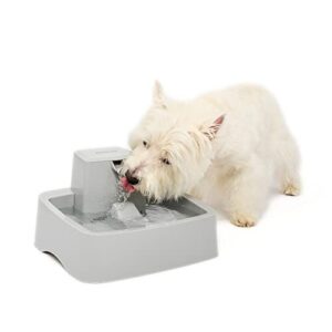 Fontaine à Eau pour Chien et Chat PetSafe Drinkwell
