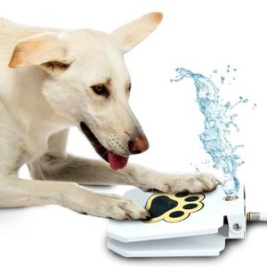 Fontaine à eau pour chien Genovation