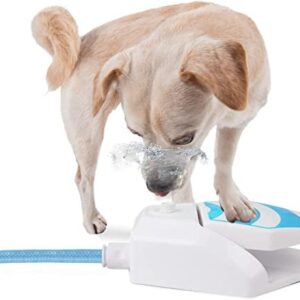 Fontaine de jardin d'extérieur pour chien ALL FOR PAWS