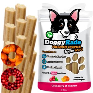Friandises prébiotiques à mâcher pour chien – Cranberry, Potiron