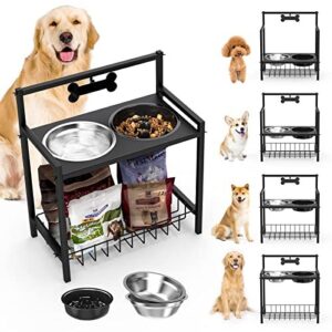 Gamelle Surélevée pour Chien Lewondr