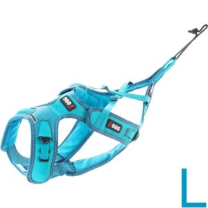 Harnais Réglable Canicross Pour Chien Taille L PHOENIX