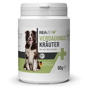 Herbes digestives pour Chiens