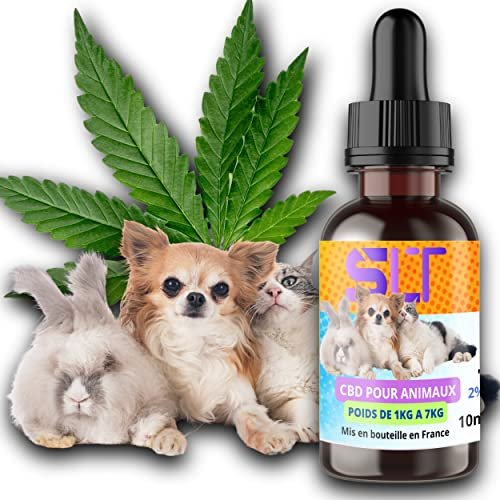 Huile Bio aromatisée au Bacon pour Chiens et Chats