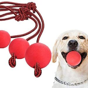 Jouet Chien Balle Corde LHKJ