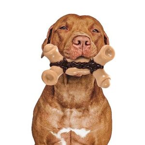 Jouets pour Chien pour l'ennui et la Stimulation