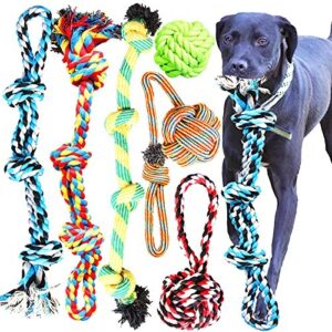Jouets pour Grand Chien Youngever
