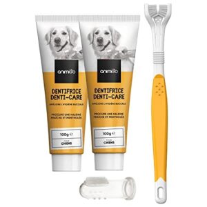 Kit Dentaire Dentifrice Chien