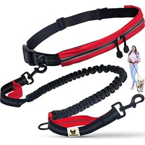 Laisse de Jogging avec Ceinture pour Chiens de Taille Moyenne Hundefreund