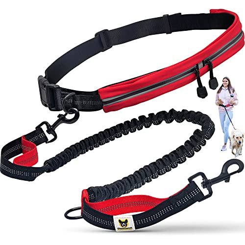 Laisse de Jogging avec Ceinture pour Chiens de Taille Moyenne Hundefreund