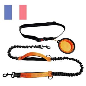 Laisse Main Libre Chien