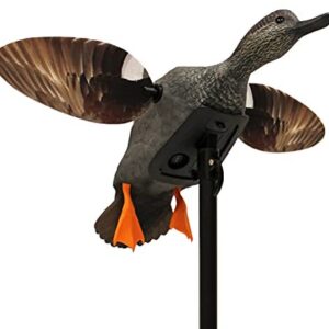 Leurre de chasse au canard MOJO Gadwall