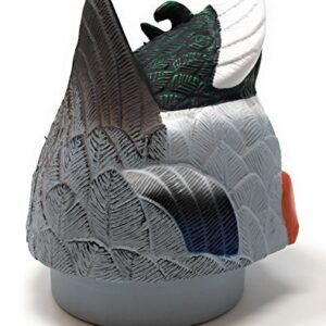 Mallard colvert MOJO