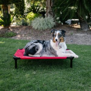 Matelas Confort Surélevé pour moyen chien