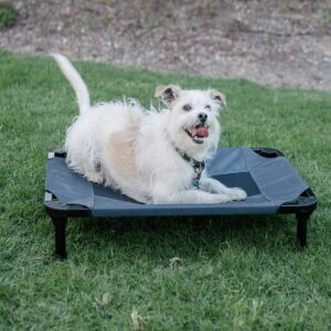 Matelas Lit Pour Chien de petite taille