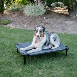 Matelas Lit pour Chien de taille moyenne