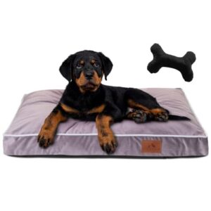 Matelas pour Chien Purple M