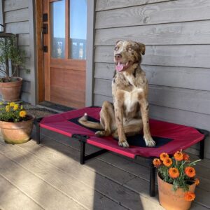 Matelas surélevé pour grand chien