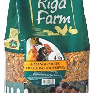 Mélange de Grains pour volaille