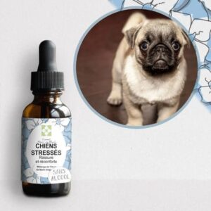Mélange Fleurs de Bach "Chien stressé" pour chien