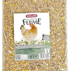 Melange Poule PONDEUSE