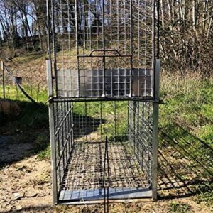 Piège Cage Capture Sangliers TRAPGALLIER
