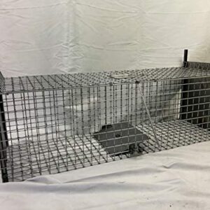 Piège Cage spécial ragondins TRAPGALLIER