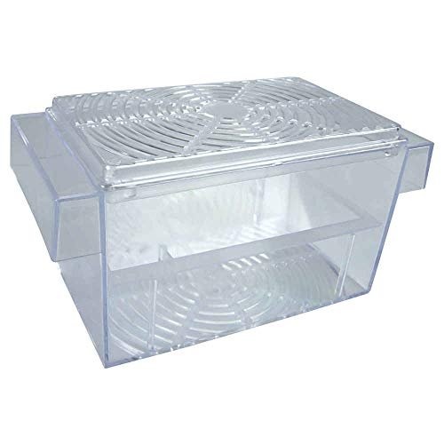 Pondoir à poule pondeuse Flottant Guppy